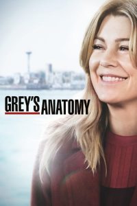 Grey’s Anatomy: 15 Temporada