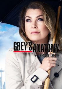 Grey’s Anatomy: 12 Temporada