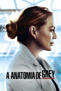 Grey’s Anatomy: 17 Temporada