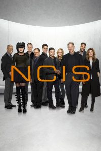 NCIS: Investigação Naval: 14 Temporada